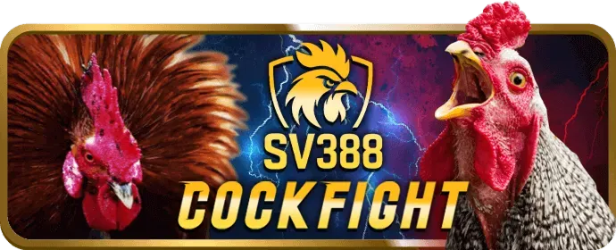 Cá cược bóng rổ V8BET