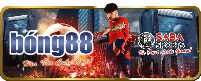 Cá cược tennis V8BET
